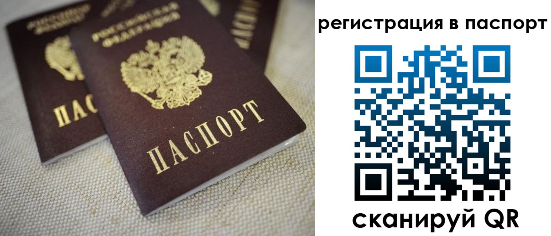 прописка гарантия в Калужской области